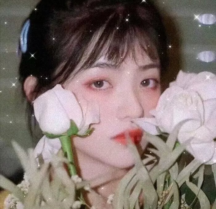 野兽与美女